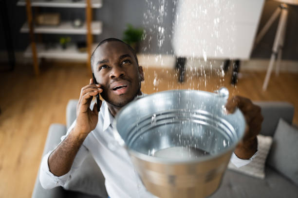 Best Water damage mitigation services  in Byers, CO