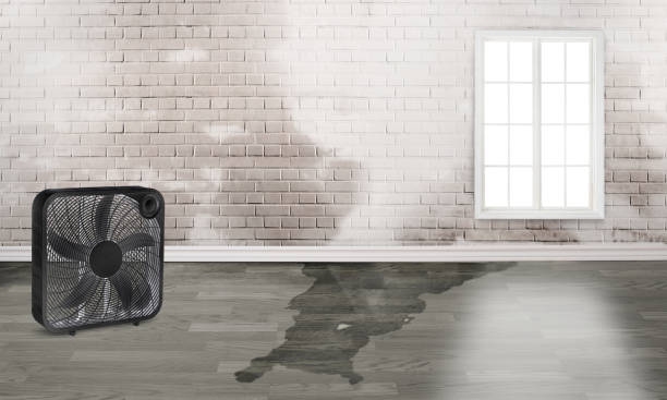 Local water damage restoration in Byers, CO
