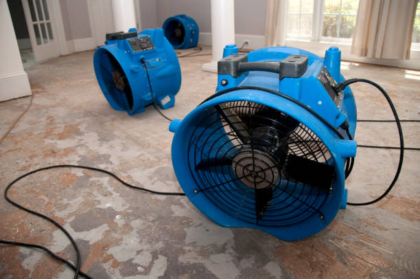 Best Professional water damage repair  in Byers, CO