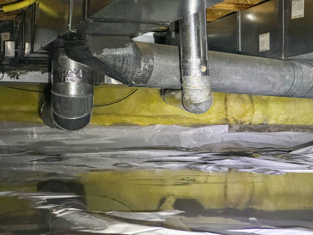 Best Ceiling water damage repair  in Byers, CO