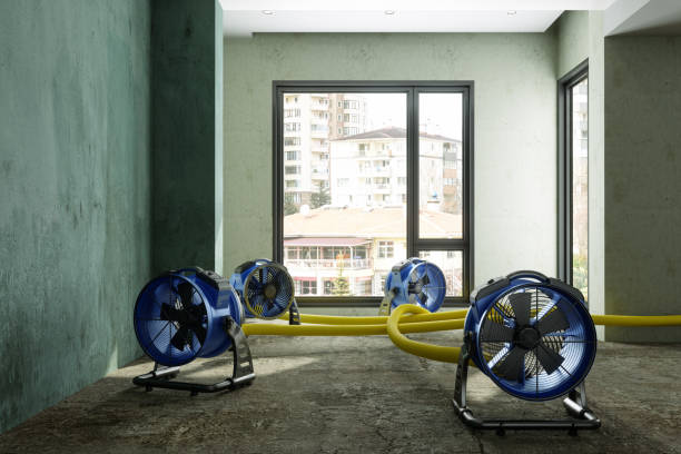 Best Water damage restoration near me  in Byers, CO